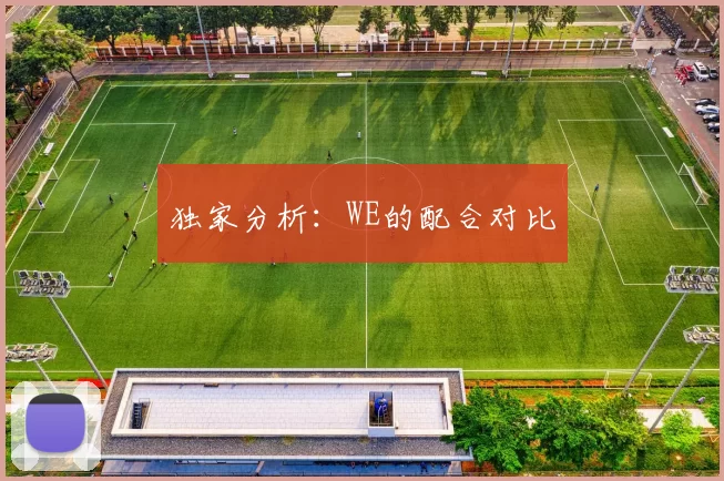 独家分析：WE的配合对比