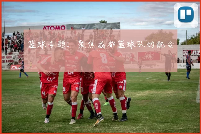 篮球专题：聚焦成都篮球队的配合
