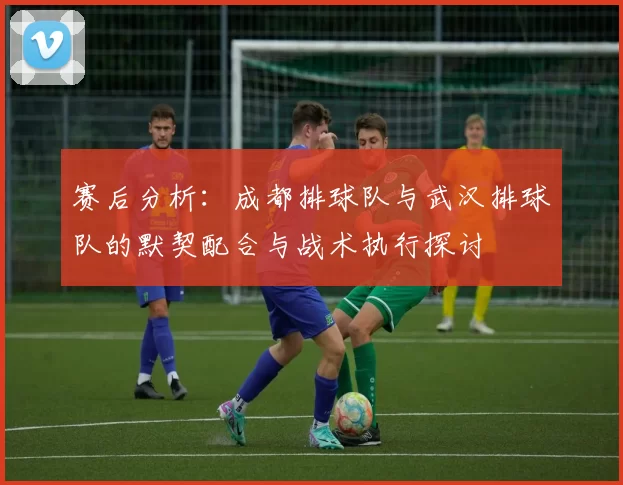 赛后分析：成都排球队与武汉排球队的默契配合与战术执行探讨