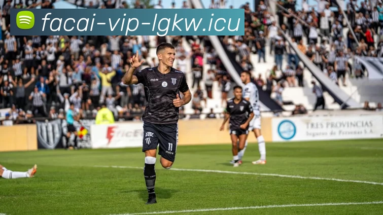 MK体育APP 封面图